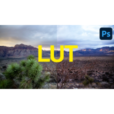 Удаленная установка LUTs Adobe Lightroom Classic